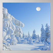 vintermånader i Lapland Affischer