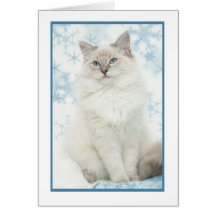 vinterragdollnotecard hälsningskort