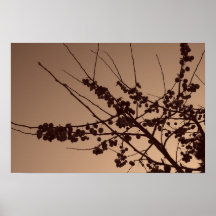 VinterSilhouette Affischer