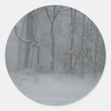 Vinterskogen Klistermärken
