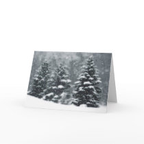 VinterTrees