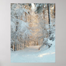 Vinterväg Posters