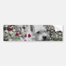 Violet i blommor - vitWestie hund Bildekaler