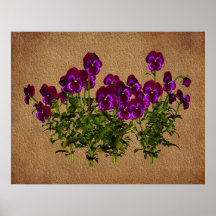 Violets på den åldriga pappra blom- konstaffischen