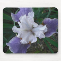 Violett blom mus matta