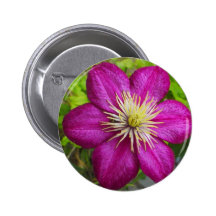 violett blomma, lilablomma nål