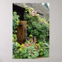 Violett Outhouse med Euphorbia Characias Wulfenii Posters