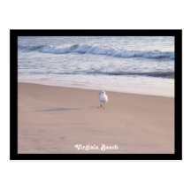 Virginia Beach Vykort
