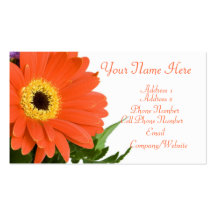 Visitkort - blomsterhandlare - orange Gerberablomm