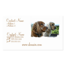 Visitkort för engelskacockerspanielSpaniel