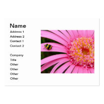 Visitkort: Rosa Gerbera med nyckelpiga visitkort