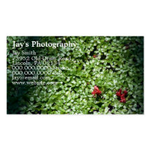 Visitkortar för fotografer