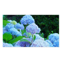 Visitkortblåttvanlig hortensia blommar blommigt