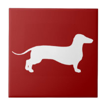 Vit Doxie Kakel