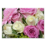 Vit- och rosa rosfototryck