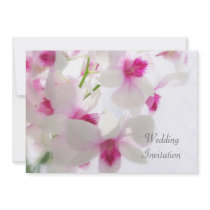 Vit - rosa orchids som gifta sig inbjudan