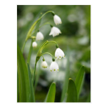 Vit sätta en klocka på blommor vykort
