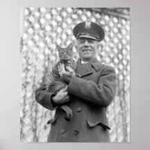 Vita hustiger: 1924 affischer