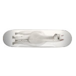 VitAlpacaskateboarden