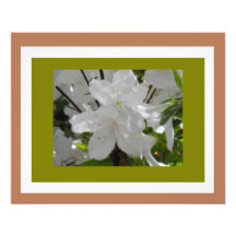 VitAzaleas! Foton