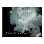 VitAzaleas sparar dateravykortet