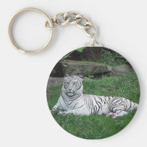 VitBengal tiger Nyckel Ring