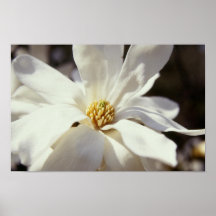 VITBLOMMA PRINT