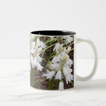 Vitblommor Kaffe Muggar