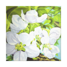 Vitblommor Sträckta Canvas Tryck