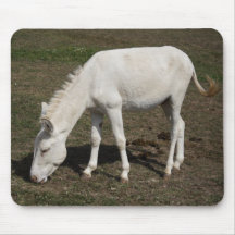 VitBurro Musmattor