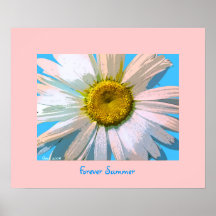 Vitdaisy, för evigtsommar     TRYCK Print