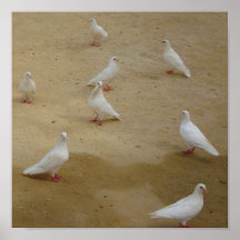 VitDoves. Affisch