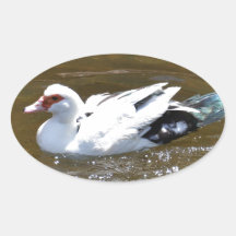 VitDuck. Klistermärke