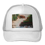 Vithatt (gömmd skönhet) baseball hat