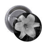 Vitlilja Pins