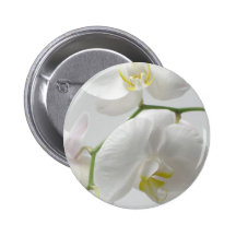 Vitorchid Pins