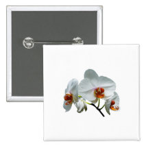 VitOrchids med orangen centrerar Knappar
