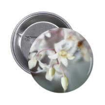 VITORCHIDS NÅL
