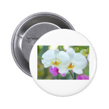 VitOrchids Nål