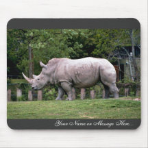 VitRhinos Musmattor