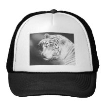 Vittiger 2 trucker kepsar