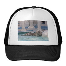 Vittiger Baseball Hat