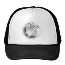 Vittiger Baseball Hat