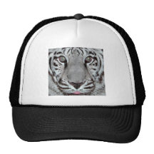 Vittiger Baseball Hat
