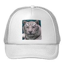 Vittiger, hatt trucker kepsar