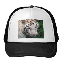 Vittiger Mesh Kepsar