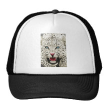 vittiger mesh kepsar