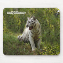 Vittiger Mousepad (10x8) Musmattor