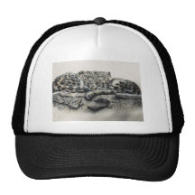 VittigerDuo Baseball Hat
