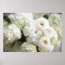vitvanlig hortensia och ranunculusaffisch